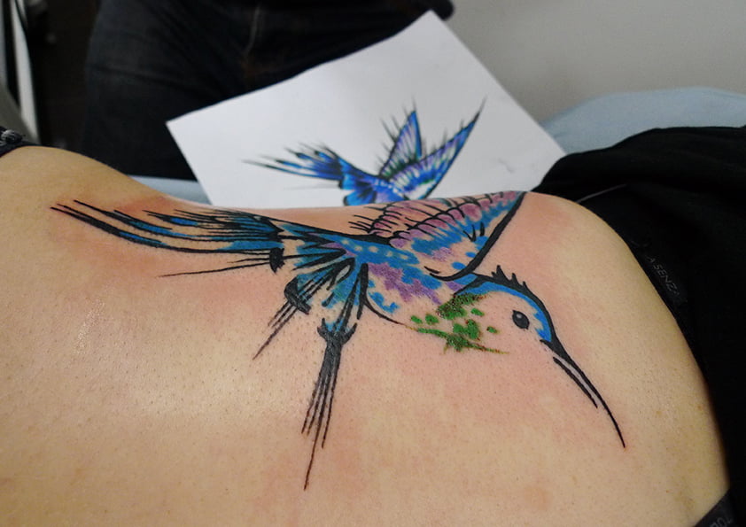 Bright and Colourful Kingfisher Tattoo - Kane Berry – Vic Market Tattoo